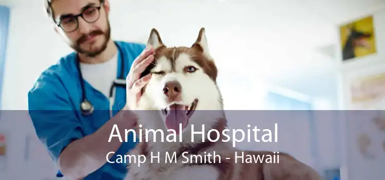 Animal Hospital Camp H M Smith - Hawaii