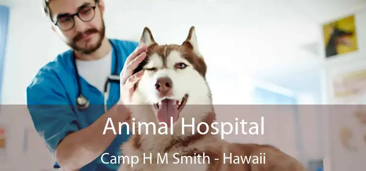 Animal Hospital Camp H M Smith - Hawaii