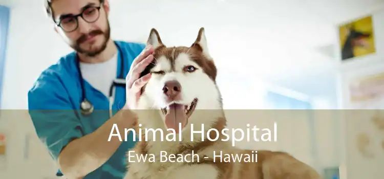 Animal Hospital Ewa Beach - Hawaii