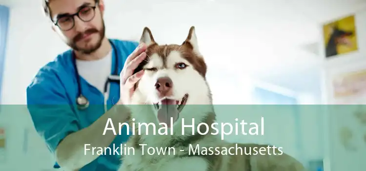 Animal Hospital Franklin Town - Massachusetts