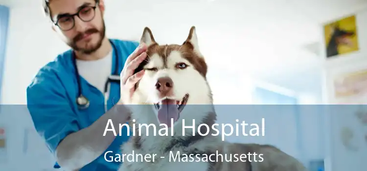 Animal Hospital Gardner - Massachusetts