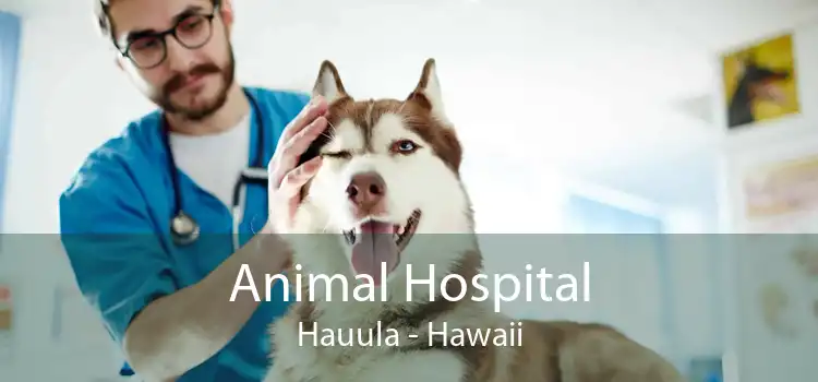 Animal Hospital Hauula - Hawaii