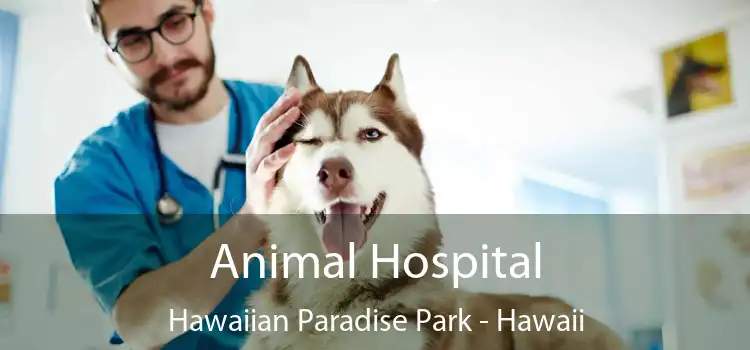 Animal Hospital Hawaiian Paradise Park - Hawaii