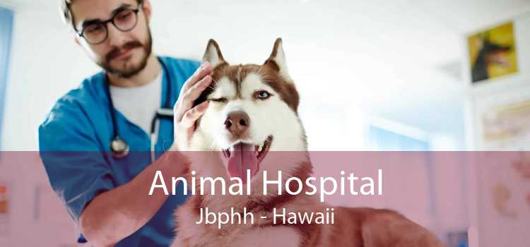 Animal Hospital Jbphh - Hawaii