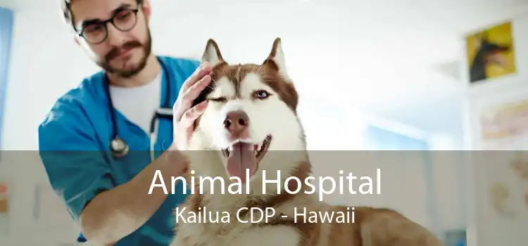 Animal Hospital Kailua CDP - Hawaii