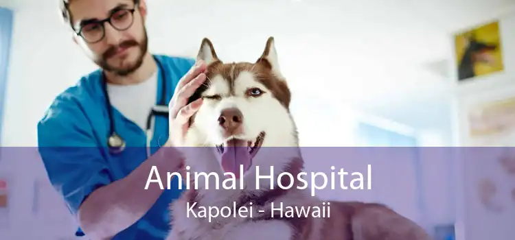Animal Hospital Kapolei - Hawaii