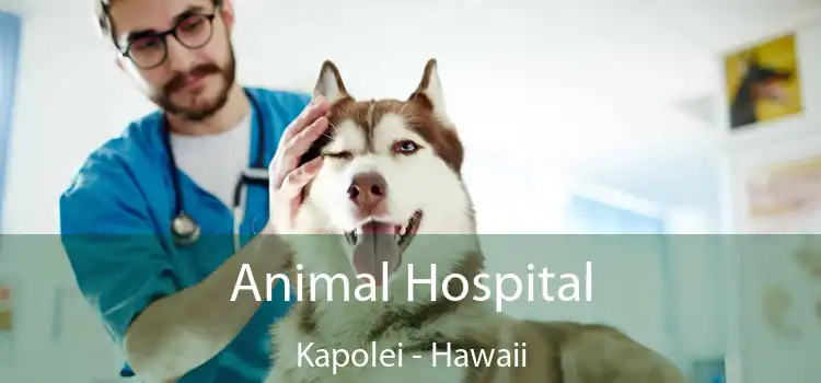 Animal Hospital Kapolei - Hawaii