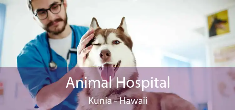 Animal Hospital Kunia - Hawaii