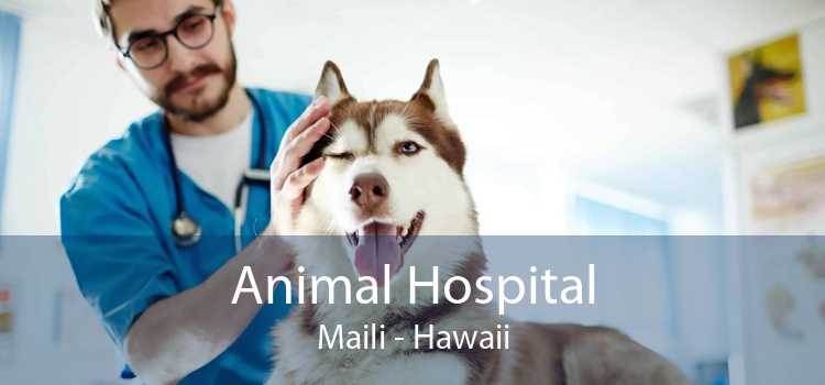 Animal Hospital Maili - Hawaii