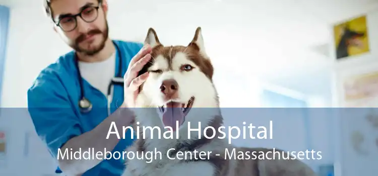 Animal Hospital Middleborough Center - Massachusetts