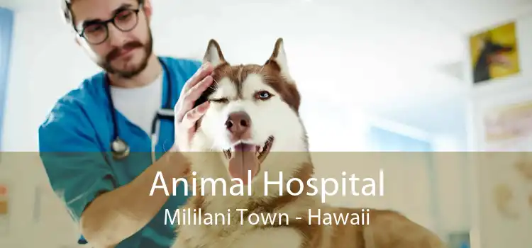 Animal Hospital Mililani Town - Hawaii