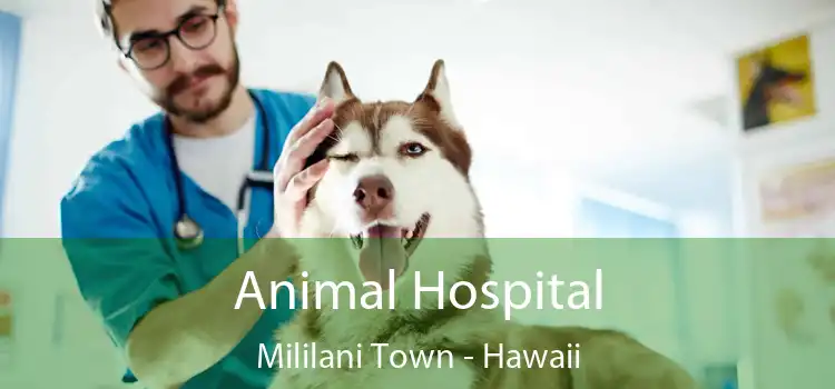 Animal Hospital Mililani Town - Hawaii