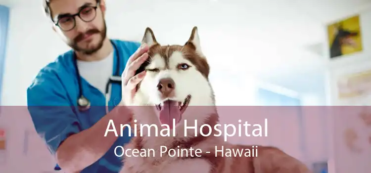 Animal Hospital Ocean Pointe - Hawaii
