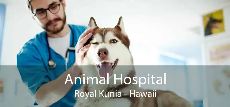 Animal Hospital Royal Kunia - Hawaii