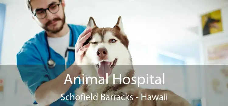 Animal Hospital Schofield Barracks - Hawaii
