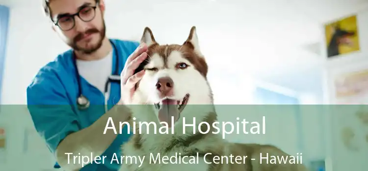 Animal Hospital Tripler Army Medical Center - Hawaii