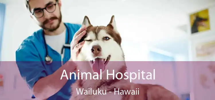 Animal Hospital Wailuku - Hawaii