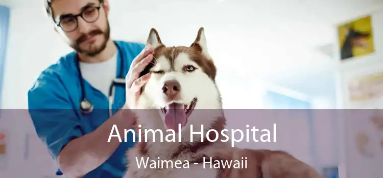 Animal Hospital Waimea - Hawaii