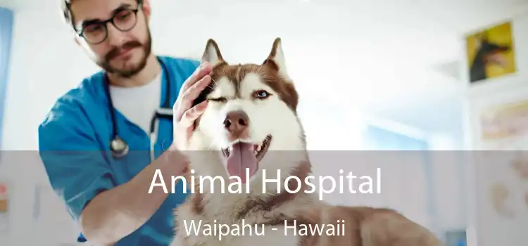 Animal Hospital Waipahu - Hawaii