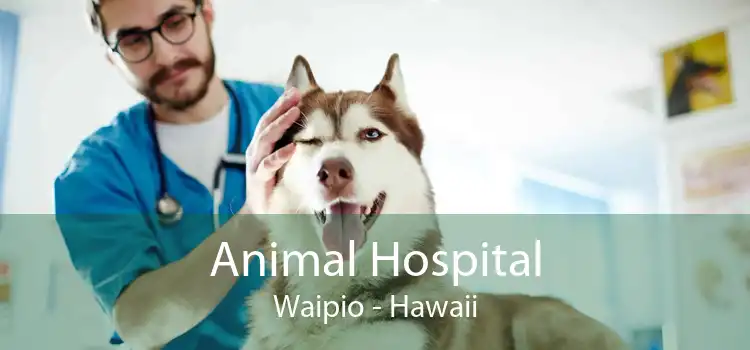 Animal Hospital Waipio - Hawaii