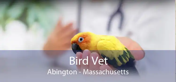 Bird Vet Abington - Massachusetts