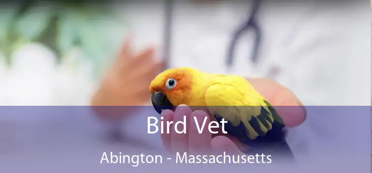 Bird Vet Abington - Massachusetts