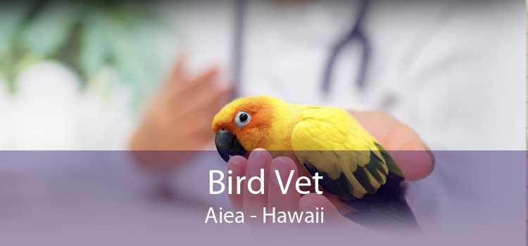 Bird Vet Aiea - Hawaii