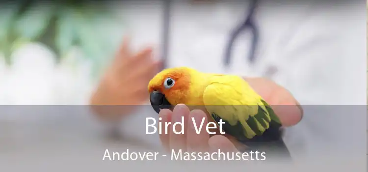 Bird Vet Andover - Massachusetts