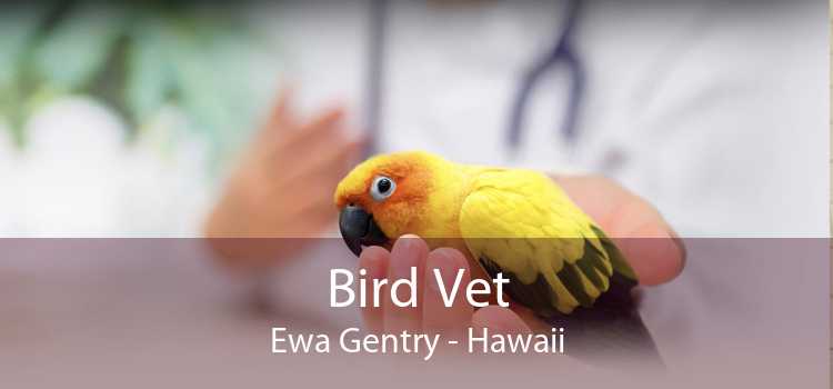 Bird Vet Ewa Gentry - Hawaii