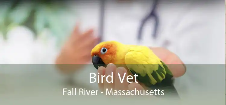 Bird Vet Fall River - Massachusetts