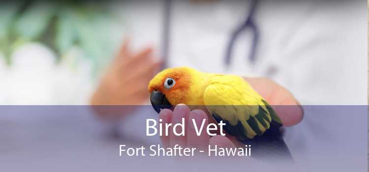 Bird Vet Fort Shafter - Hawaii