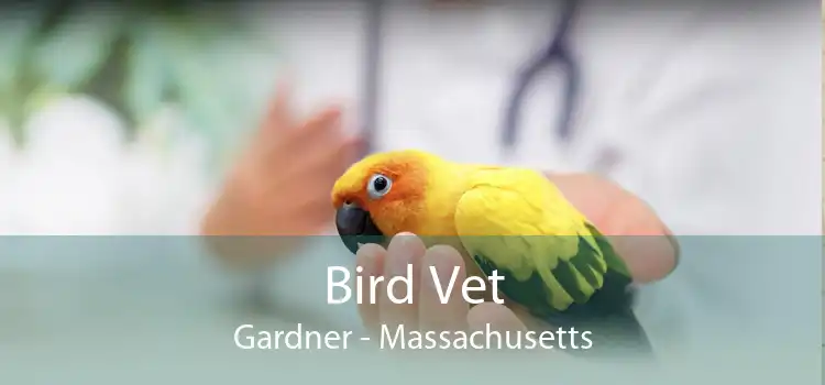 Bird Vet Gardner - Massachusetts