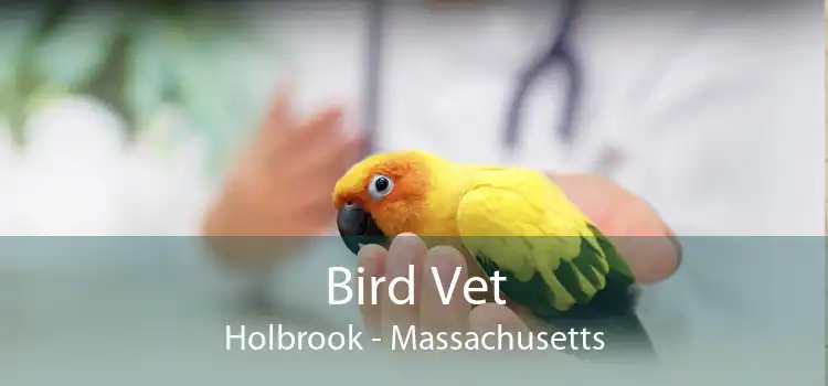 Bird Vet Holbrook - Massachusetts