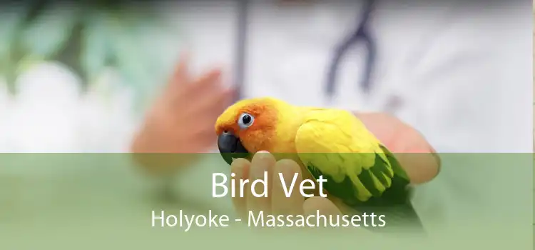 Bird Vet Holyoke - Massachusetts