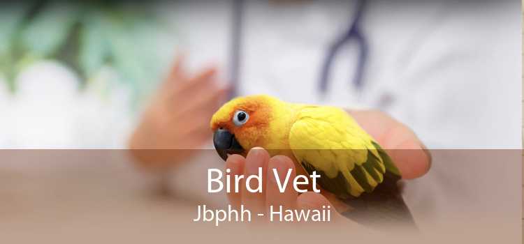 Bird Vet Jbphh - Hawaii