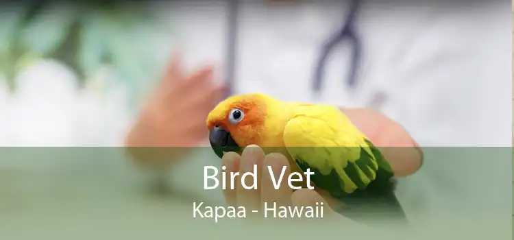 Bird Vet Kapaa - Hawaii