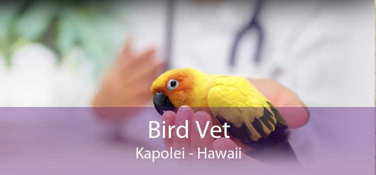 Bird Vet Kapolei - Hawaii