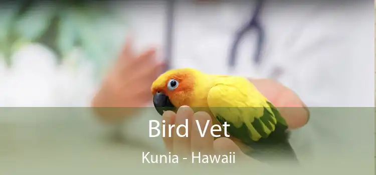Bird Vet Kunia - Hawaii