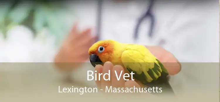 Bird Vet Lexington - Massachusetts