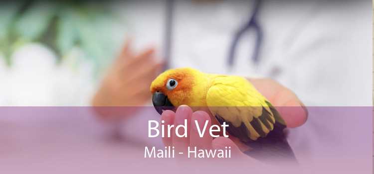 Bird Vet Maili - Hawaii