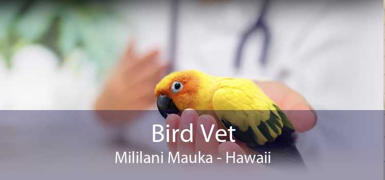 Bird Vet Mililani Mauka - Hawaii