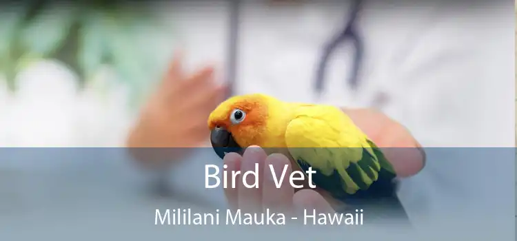 Bird Vet Mililani Mauka - Hawaii