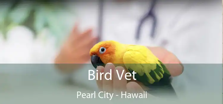 Bird Vet Pearl City - Hawaii
