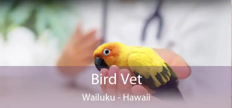 Bird Vet Wailuku - Hawaii
