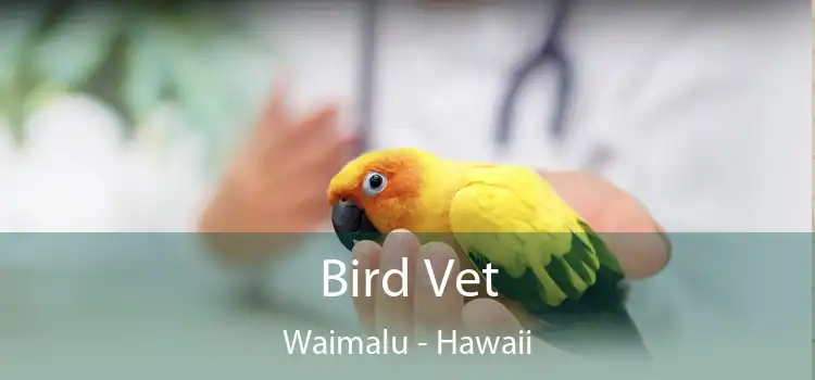 Bird Vet Waimalu - Hawaii