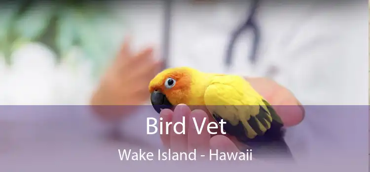 Bird Vet Wake Island - Hawaii