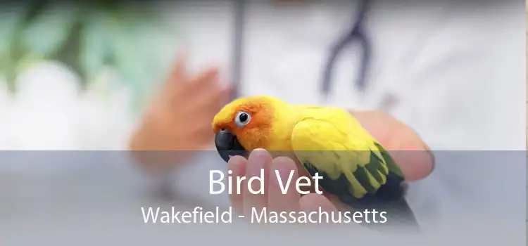 Bird Vet Wakefield - Massachusetts