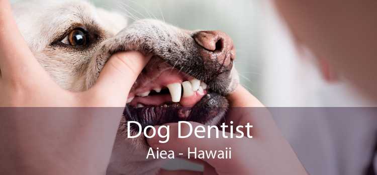 Dog Dentist Aiea - Hawaii