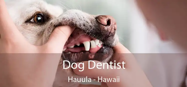 Dog Dentist Hauula - Hawaii