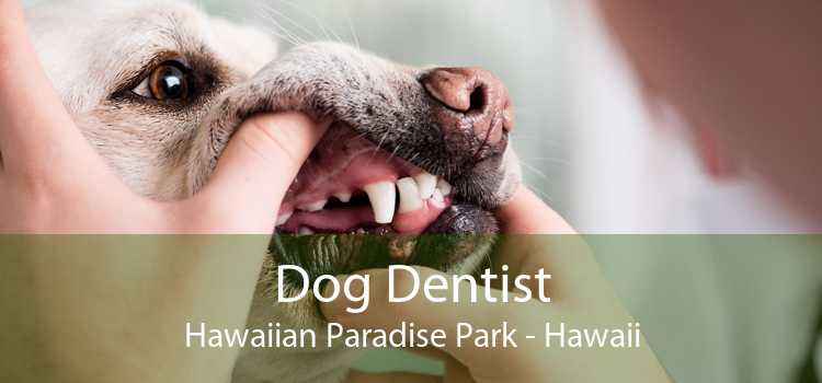 Dog Dentist Hawaiian Paradise Park - Hawaii